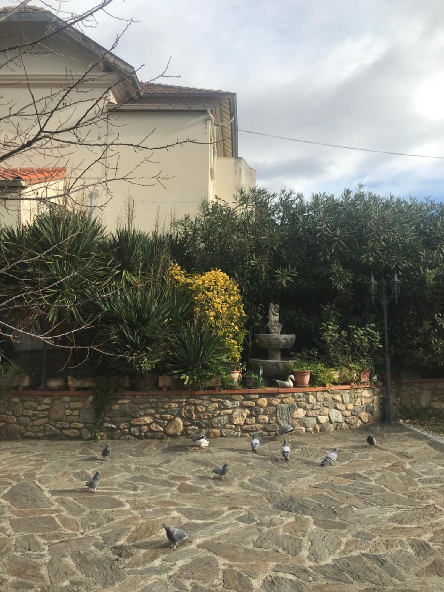 Hebergements A La Rive, Accueil Ouvert Tous Les Jours Jusqu'A 20H00 Dernier Delai, Depuis 30 Ans ! Reserver Ici Svp ! Merci ! Aucun Reglement A Distance Accepte, Paiement Par Cb, Especes, Cheque Ou Cheques-Vacances Imperativement A La Remise Des Clef Amelie-les-Bains-Palalda Ngoại thất bức ảnh