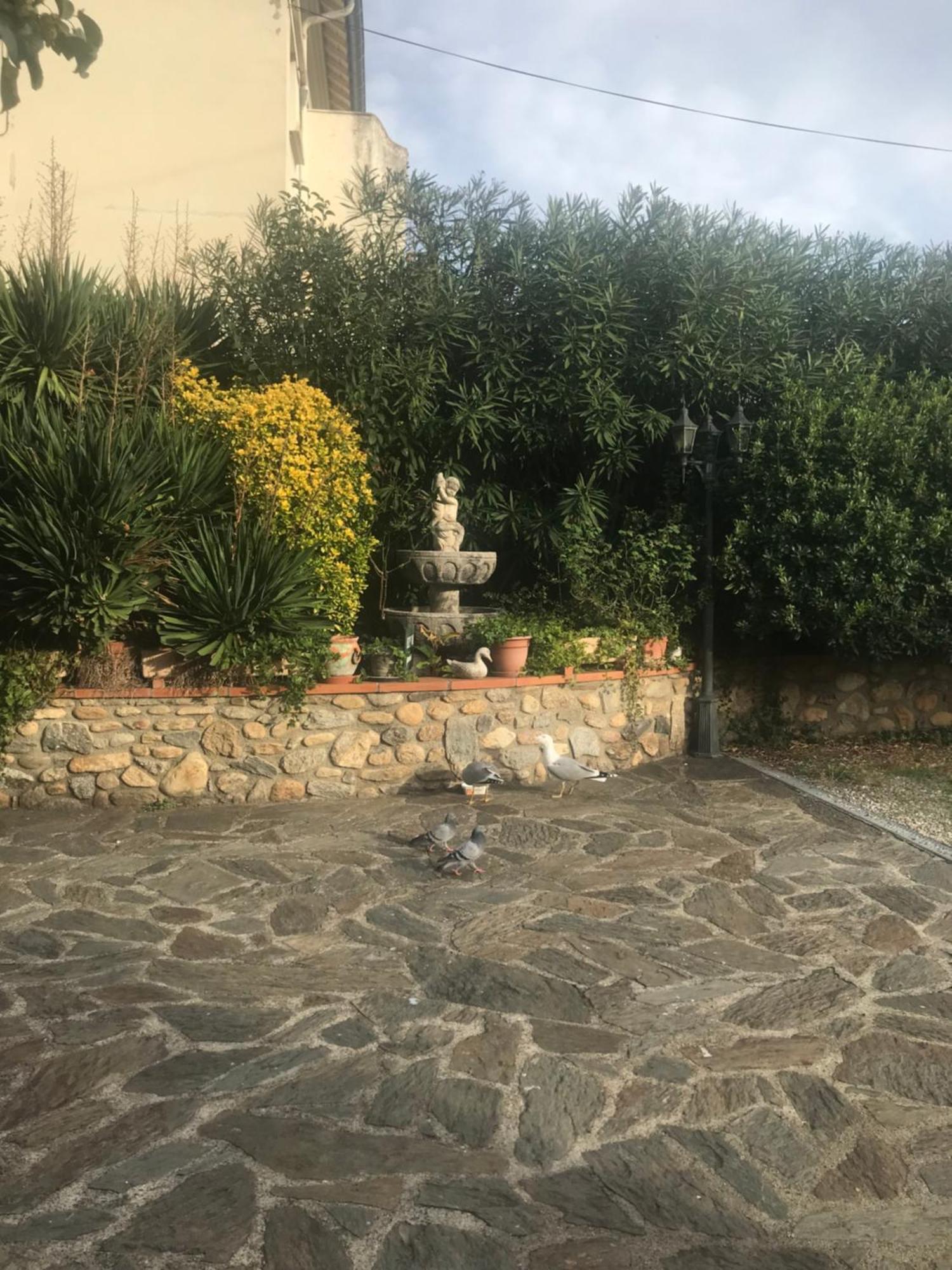 Hebergements A La Rive, Accueil Ouvert Tous Les Jours Jusqu'A 20H00 Dernier Delai, Depuis 30 Ans ! Reserver Ici Svp ! Merci ! Aucun Reglement A Distance Accepte, Paiement Par Cb, Especes, Cheque Ou Cheques-Vacances Imperativement A La Remise Des Clef Amelie-les-Bains-Palalda Ngoại thất bức ảnh